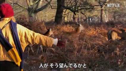 『ミス・アメリカーナ』予告編