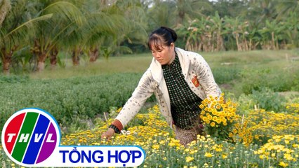 Nông thôn ngày nay: Nông dân đón Tết