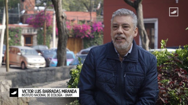 Jardines Verticales #CreateABetterTomorrow