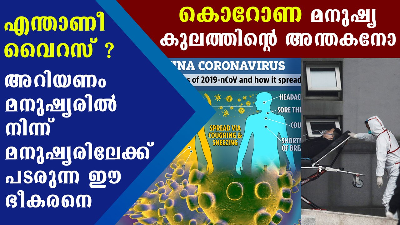 Everything you need to know about corona virus | Boldsky Malayalam