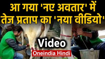 Tej Pratap Yadav का नया लुक, Cow का Milk निकालते तेज प्रताप का Viral Video | Oneindia Hindi