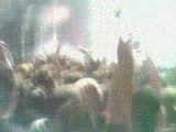 Marilyn Manson - Mobscene live 02-11-08