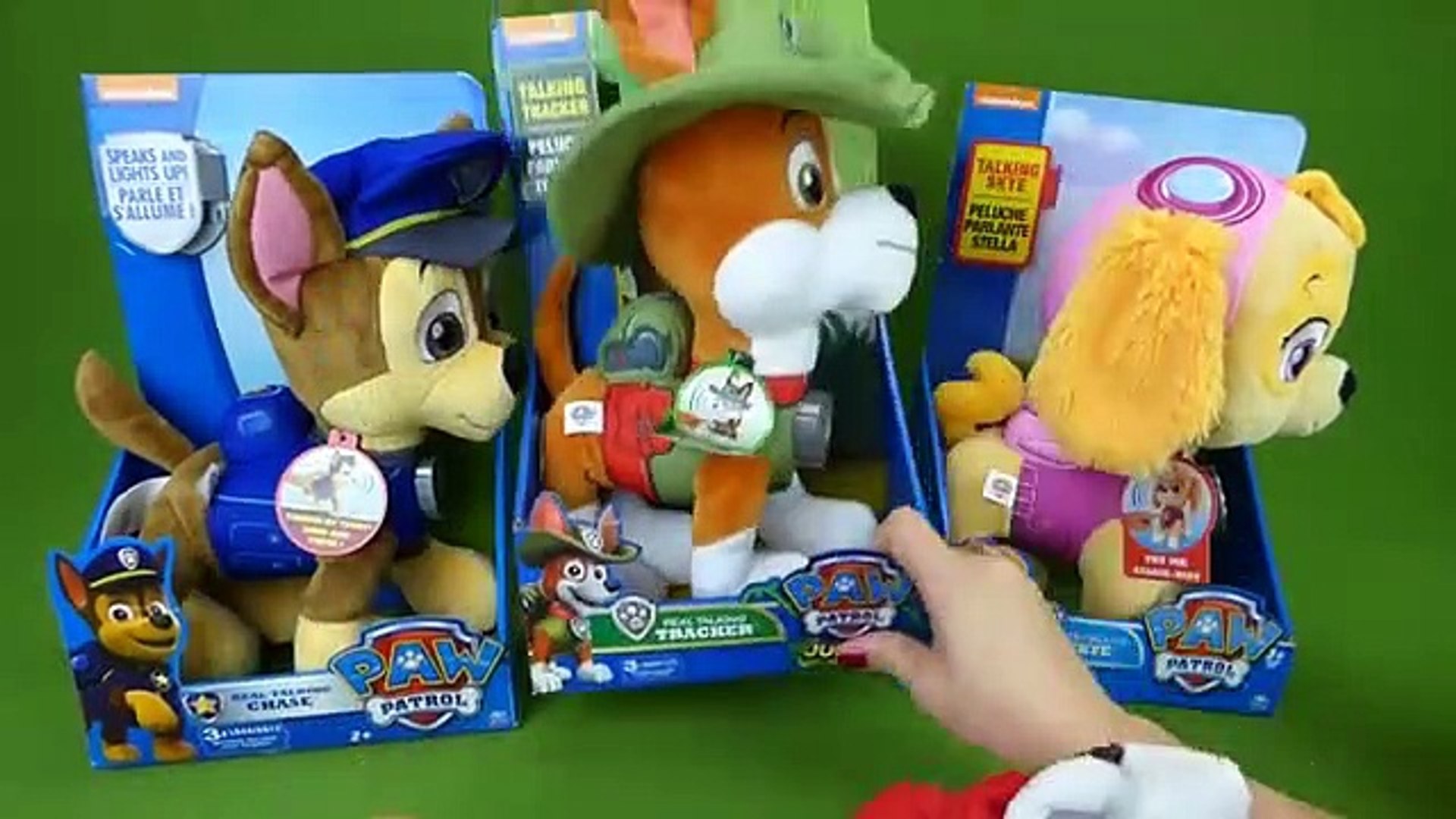 paw patrol talking marshall plush toy