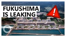 Four leaks found in Japan's Fukushima Nuclear Plant