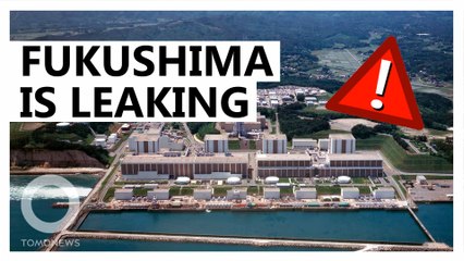 Four leaks found in Japan's Fukushima Nuclear Plant
