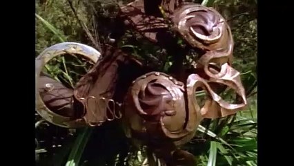 Altared States - Xena- Warrior Princess