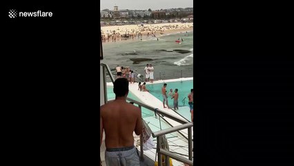 Aussie police dispatch land, sea and air officers to arrest man on Bondi beach