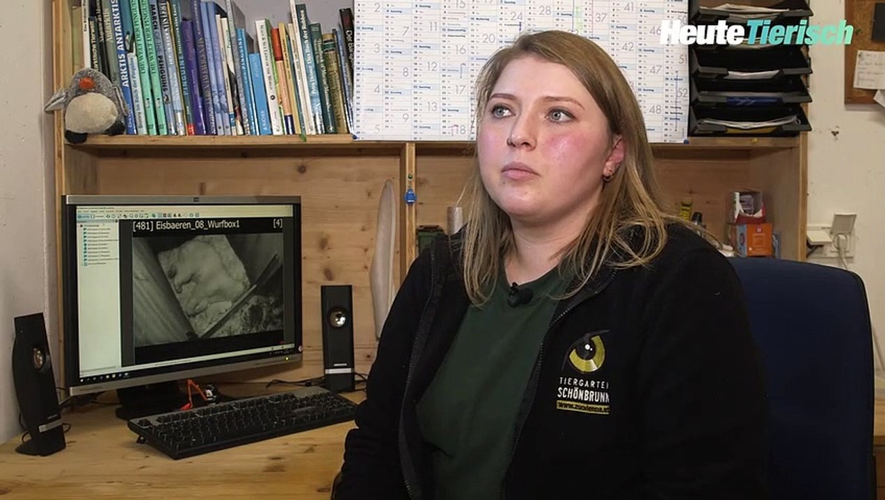 So genießen Eisbär-Mama und Baby die Zweisamkeit