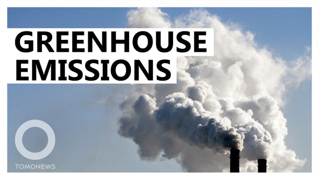 Rise in greenhouse gas emissions linked to China, India: Study