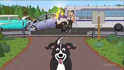 Mr. Pickles Intro - video Dailymotion