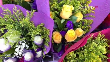 Pasar Bunga Ramai & Meriah Jelang Imlek di Hong Kong