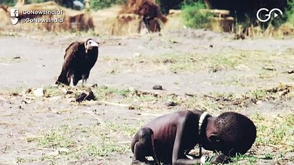 सूडान में भूख और बीमारी से अफ्रीकी शेर मौत की कगार पर, बचाने की मुहिम शुरू