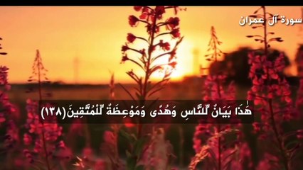 حينما كان الغرب هو من يُقلّد العرب المسلمون
