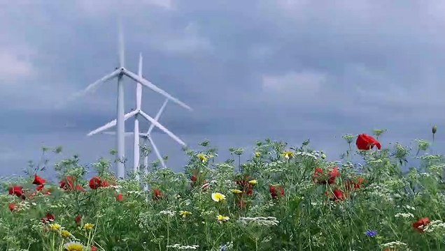 MUSIQUE DOUCE ET RELAXANTE / SOFT AND RELAXING MUSIC