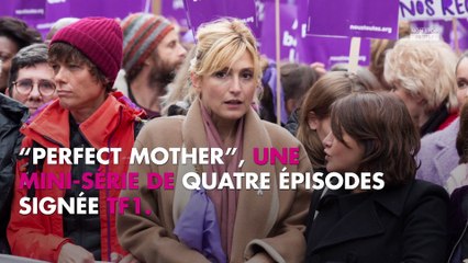 Julie Gayet : nouvelle star d'une série TF1 ?