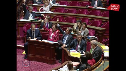 Quand le Sénat de droite votait la PMA pour les couples de femmes... en 2011