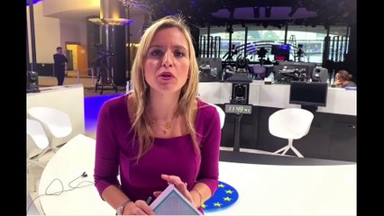 Sardone - Ecco come votare domenica in Emilia Romagna (24.01.20)