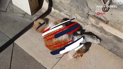 Esnafın maskotu 'Şerafettin' tam 8 kilo