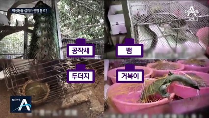 “박쥐가 바이러스 숙주”…야생동물 식습관이 전염 통로?