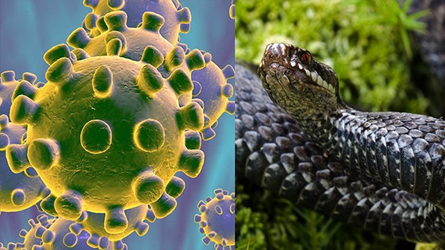 CoronaVirus के लक्षण, जानिए कैसे करें बचाव । Symptoms of dangerous coronavirus । Boldsky