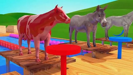 Cow_dance_in_nepali_song_-__Animals_at_Swimming_Pool_\\u0026_eating_an_apple_videos_for_Kids(360p)