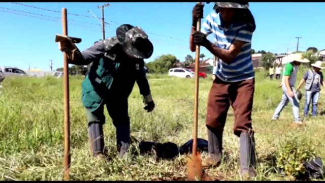 ‘Mais verde + vida”: seis mil mudas de árvores nativas são plantadas