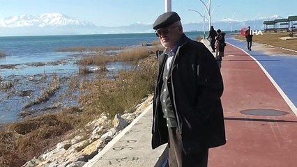 Beyşehir Gölü’nde pelikanların yiyecek arayışı ilgi çekti