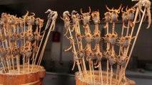 Chinese Street Food -  Live Scorpions, Insects, Best street food In China || Foods