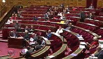 SNICS Débat et vote Loi de confiance Senat article 2ter