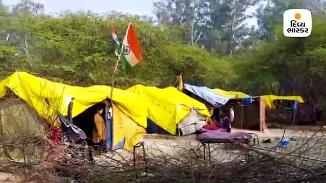 પાકિસ્તાનથી આવેલા હિન્દુ શરણાર્થીઓએ કહ્યું- કોઈ પણ સરકારથી નારાજ નથી,બસ ઘર સુધી વીજળી પહોંચાડી દો