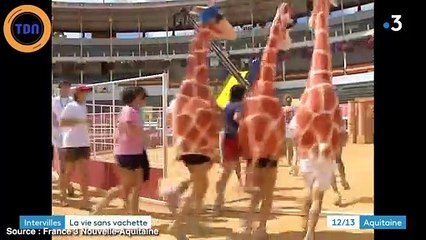 Intervilles : plusieurs villes appellent au boycotte suite au "non-retour de la vachette"