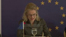“Zgjedhjet ishin transparente”/ Vëzhguesit e BE vlerësojnë procesin zgjedhor në Kosovë