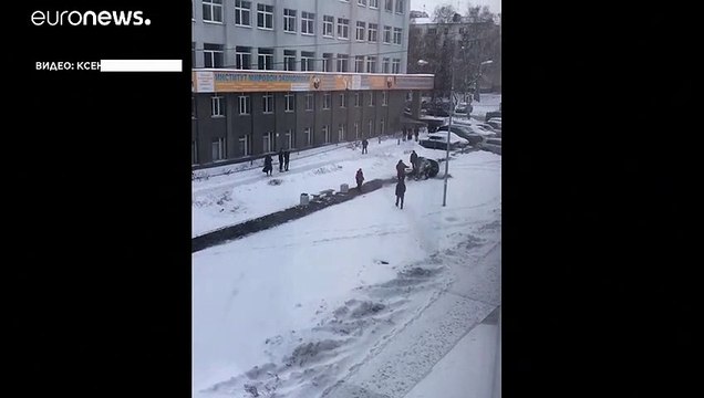 Приключения итальянских слонов в России