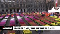 گلچین ویدئوهای هفته؛ از تزئین میدان با گل لاله تا هجوم ملخ‌ها