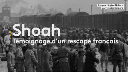"On perdait notre nom et on devenait un numéro" : un des derniers rescapés d'Auschwitz témoigne