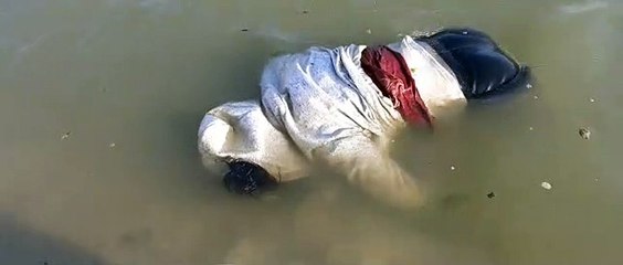 मेडिकल छात्रा का शव मिला, मचा हड़कंप