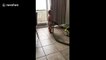 'Parenting is easy!' Aussie dad chills on the sofa while his kids do the chores