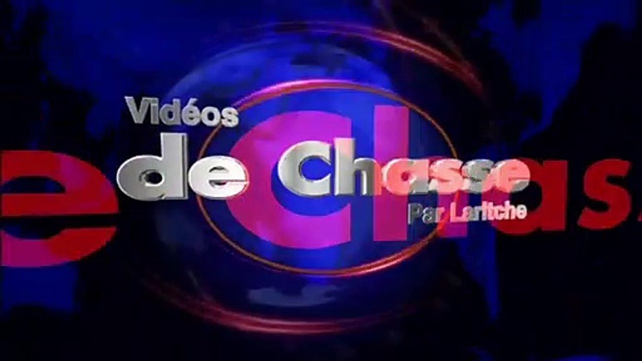 Chasse et tirs de palombes 2015