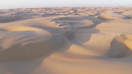 مراحل تحول الجزيرة العربية من غابات إلى صحراء.. وحقيقة مفاجئة عن الربع الخالي