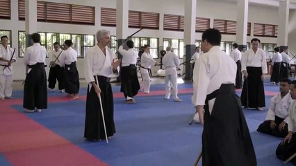 Aikiken, Bruno Gonzalez Djakarta seminar, Indonesia 2017  Part 5 9
