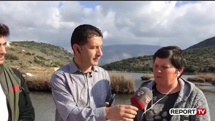 Report TV -Temperaturat e ulëta po shkatërrojnë midhjet, Report TV në Liqenin e Butrintit