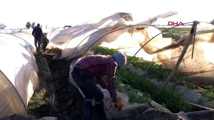 Fırtına, anamur'da seraları vurdu