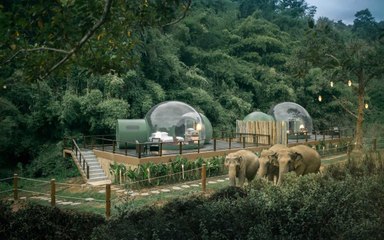 You Can Sleep With Elephants Under the Stars in a 'Jungle Bubble' in Thailand