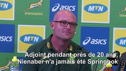 Rugby: Jacques Nienaber, nouveau sélectionneur de l'Afrique du Sud