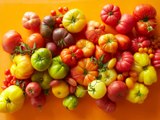 What Are Heirloom Tomatoes?