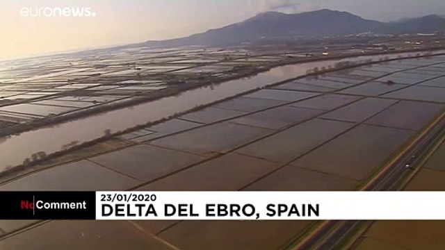 Death toll rises after Storm Gloria batters Catalonia's coast