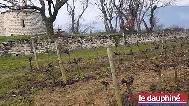 Création d'une zone d'activités 100% viticole à Saint-Julien-en-Saint-Alban : un potentiel de développement réél pour la chambre d'agriculture