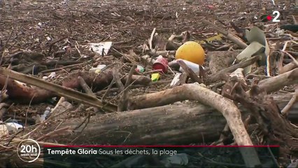 Aude : après le passage de la tempête Gloria, les détritus s'amoncellent sur les plages