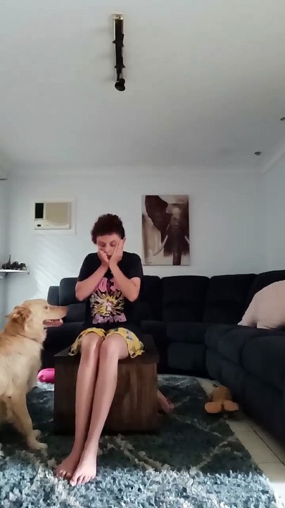 Perro evita que su dueña se golpee durante ataque de ansiedad