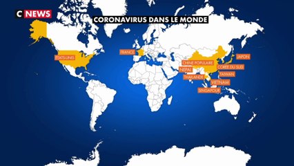 Coronavirus : le point sur la propagation de la maladie dans le monde